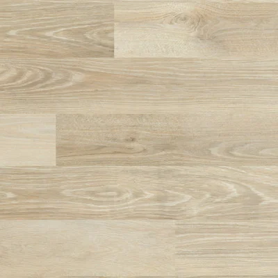 New England Elm