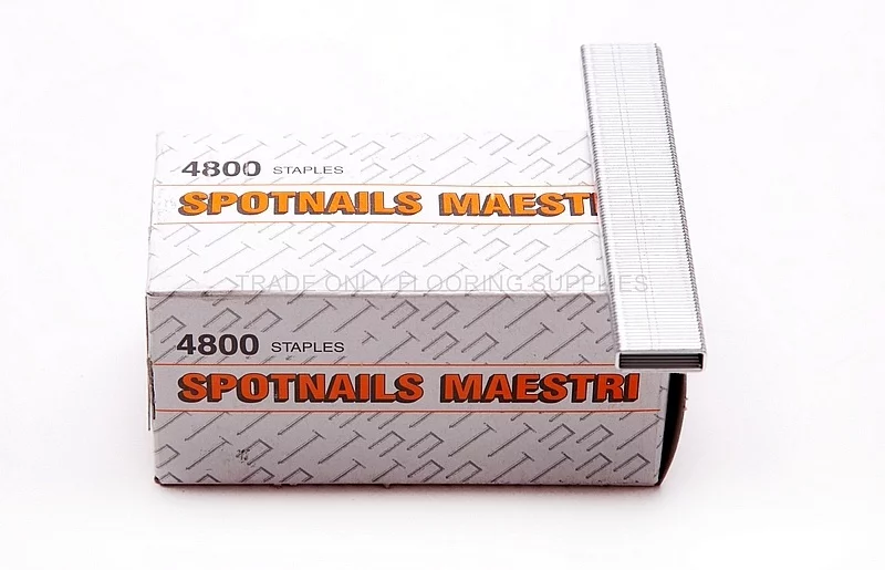 Spotnails Maestri Staples
