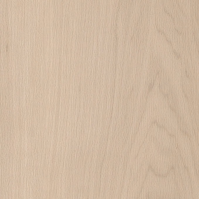 Amtico Spacia White Maple SS5W2654